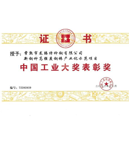 中國工業大獎表彰獎.png